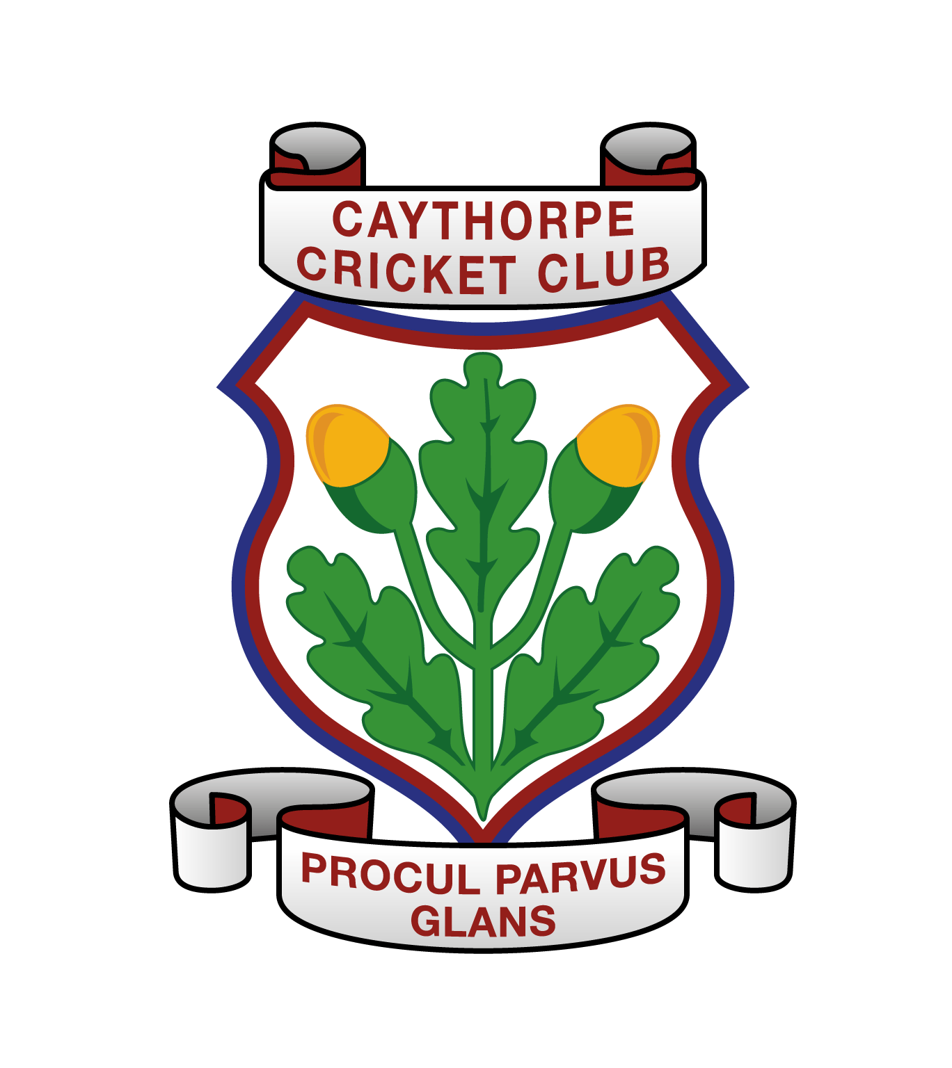 Caythorpe Cricket Club badge